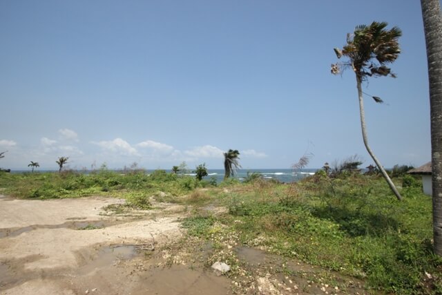 Terrain – villa - maison – propriété – à vendre – à louer – location - location longue durée – location à l’année – investissement – achat – vente – plage – bord de mer - sable blanc – Indonésie – Roti island – Bali – chambre – notaire – consultant - juridique – création - société – administration – voyage – entreprise – hôtel – commerce – restaurant – projet – visa – permis – travail – retraite – informations – découverte – aventure – produits – naturels – spa – salon – coiffure – réflexologie – savon – shampoing – anti-moustique – tourisme – plaisir – nature – surf – plongée – exploration – exotique – exotisme – massage – traditionnel – huile de massage – coucher de soleil – photos – galerie – soin de beauté – pédicure – manucure – agent immobilier – professionnel-Land - villa - house - property - for sale - rent - rental - leasing - rent annually - investment - purchase - sale - beach - sea - white sand - Indonesia - Rote island - Bali - bedroom - notary - consultant - legal - creation - company - administration - travel - business - hotel - shop - restaurant - project - visa - permit - work - retirement - information - discovery - adventure - products - natural - spa - lounge - hairdresser - reflexology - soap - shampoo – anti-mosquito – pleasure – nature – surf – diving – exploration - exotic - exotism - massage - traditional - massage oil - sunset - pictures - gallery - beauty treatment - pedicure – manicure – real estate agent – professional-Tanah - villa - rumah - properti - Dijual - disewakan - dikontrakan - menyewa per tahun - investasi - pembelian - penjualan - pantai - laut - pasir putih - Indonesia - pulau Roti - Bali - bedroom - notaris - konsultan - hukum - penciptaan - wisata - - bisnis - Hotel - bisnis - restoran - proyek - visa - izin - pekerjaan - pensiun - informasi - penemuan - petualangan - produk - spa - - alam ruang duduk - penata rambut - reflexology masyarakat - administrasi - sabun - shampoo – anti-nyamuk - Pariwisata - menyenangkan - semacam - surfing - diving – eksplorasi - eksotik - eksotis - pijat - tradisional - pijat minyak - sunset - Foto - galeri - perawatan kecantikan - pedicure – manicure – properti agen - Profesional